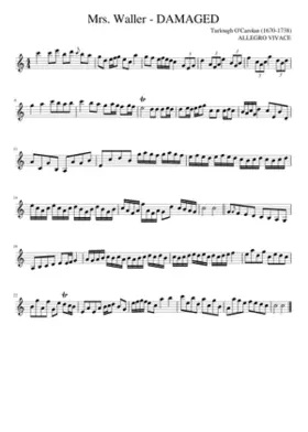 Mrs. Waller - DAMAGED