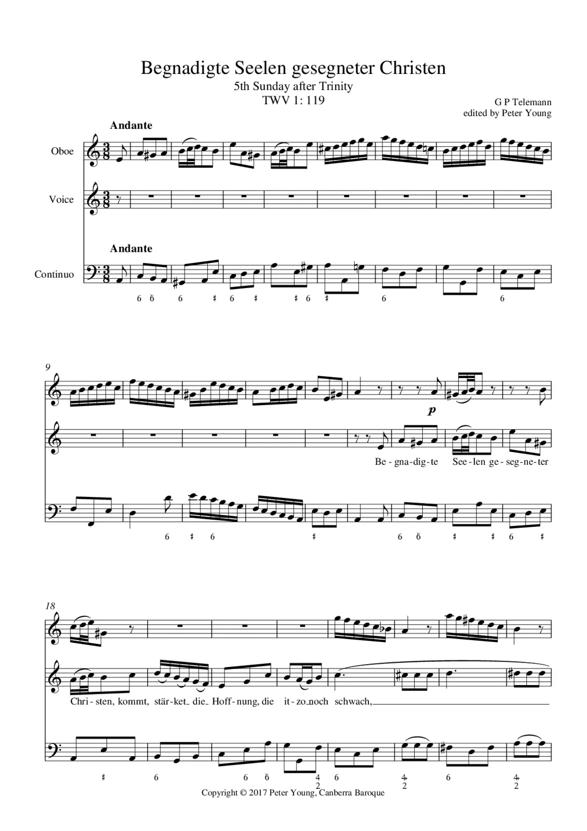 Begnadigte Seelen gesegneter Christen - Page 1