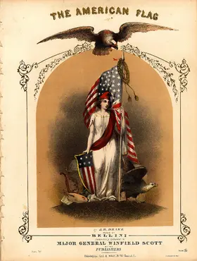 The American Flag
