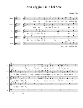 Non veggio il mio bel Sole