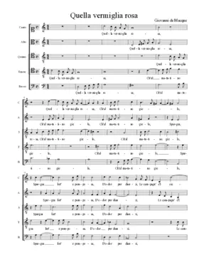 Quella vermiglia rosa