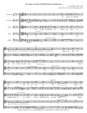 Es taget vor dem Walde - Fortuna desperata