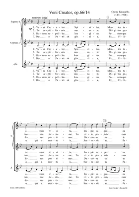 Veni Creator, op. 66/14