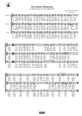 Viel schöner Blümelein