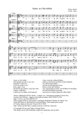 Amor, se i bei rubini