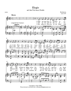 Elegie auf den Tod eines Pudels, WoO 110