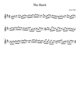 the Hawk