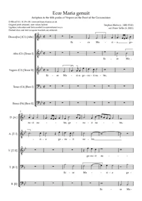 Ecce Maria genuit