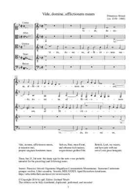 Vide, domine, afflictionem meam