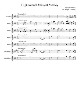 high school musical - high school musical