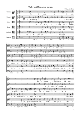 Tulerunt Dominum meum