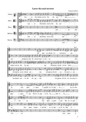 Lasso che mal accorto fui