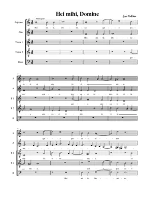 Hei mihi, Domine
