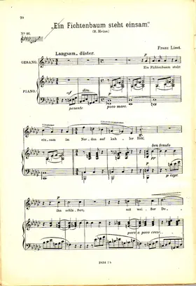 Ein Fichtenbaum steht einsam