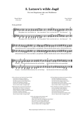 Lutzow's wilde Jagd, D.205