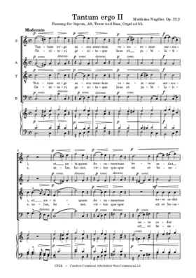 Tantum ergo, Op. 22,2