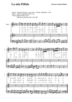 La mia Fillida è brunetta