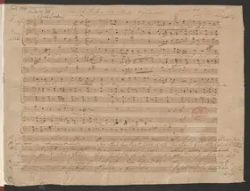 Abends unter der Linde