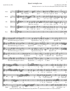 Quasi vermiglia rosa