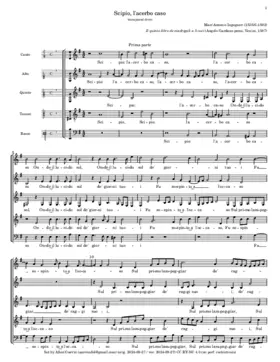 Scipio, l'acerbo caso