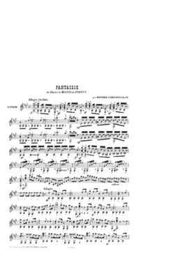 Fantaisie de l'opera 'La muette de Portici', Op.33