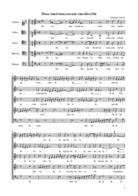 Deus canticum novum cantabo tibi