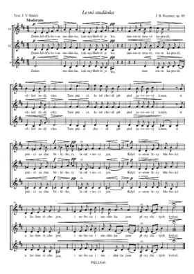 Lesní studánka, op. 89