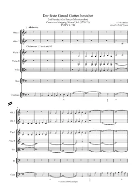 Der feste Grund Gottes bestehet, TWV 1:238