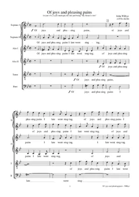 Of joys and pleasing pains