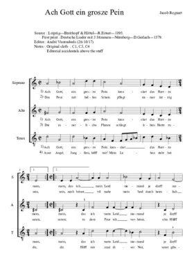 Ach Gott ein grosze Pein