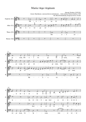 Maria virgo virginum