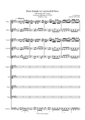 Dein Schade ist verzweifelt böse, TWV 1:215
