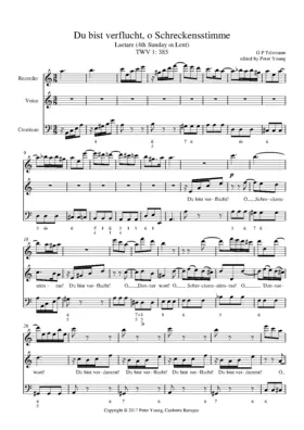 Du bist verflucht, o Schreckensstimme, TWV 1:385