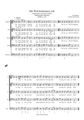 Die Welt bekümmert sich, TWV 1:371