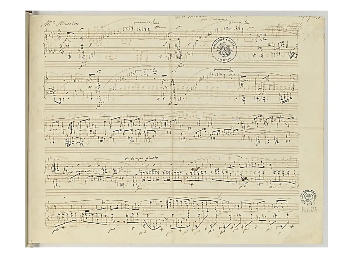 Polonaise-Fantaisie - Page 1