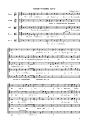 Vorrei l'orecchia haver