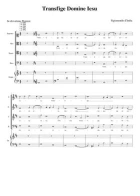 Transfige Domine Iesu