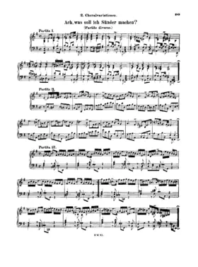 Ach, was soll ich Sünder machen