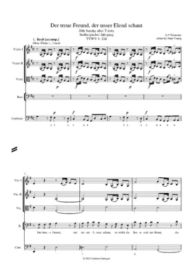 Der treue Freund, der unser Elend schaut, TWV 1:324