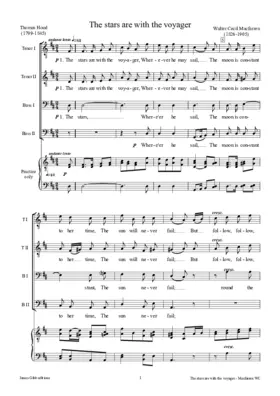 The stars are with the voyager