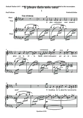 Il pleure dans mon cœur