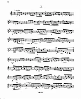 12 Etudes