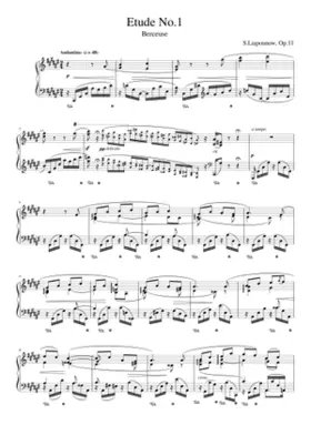12 Études d'exécution transcendante Op.11