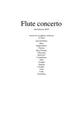 Flute concerto