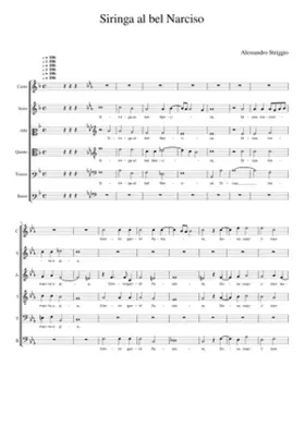 Siringa al bel Narciso