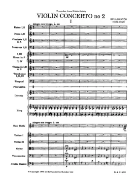 Violin Concerto No.2