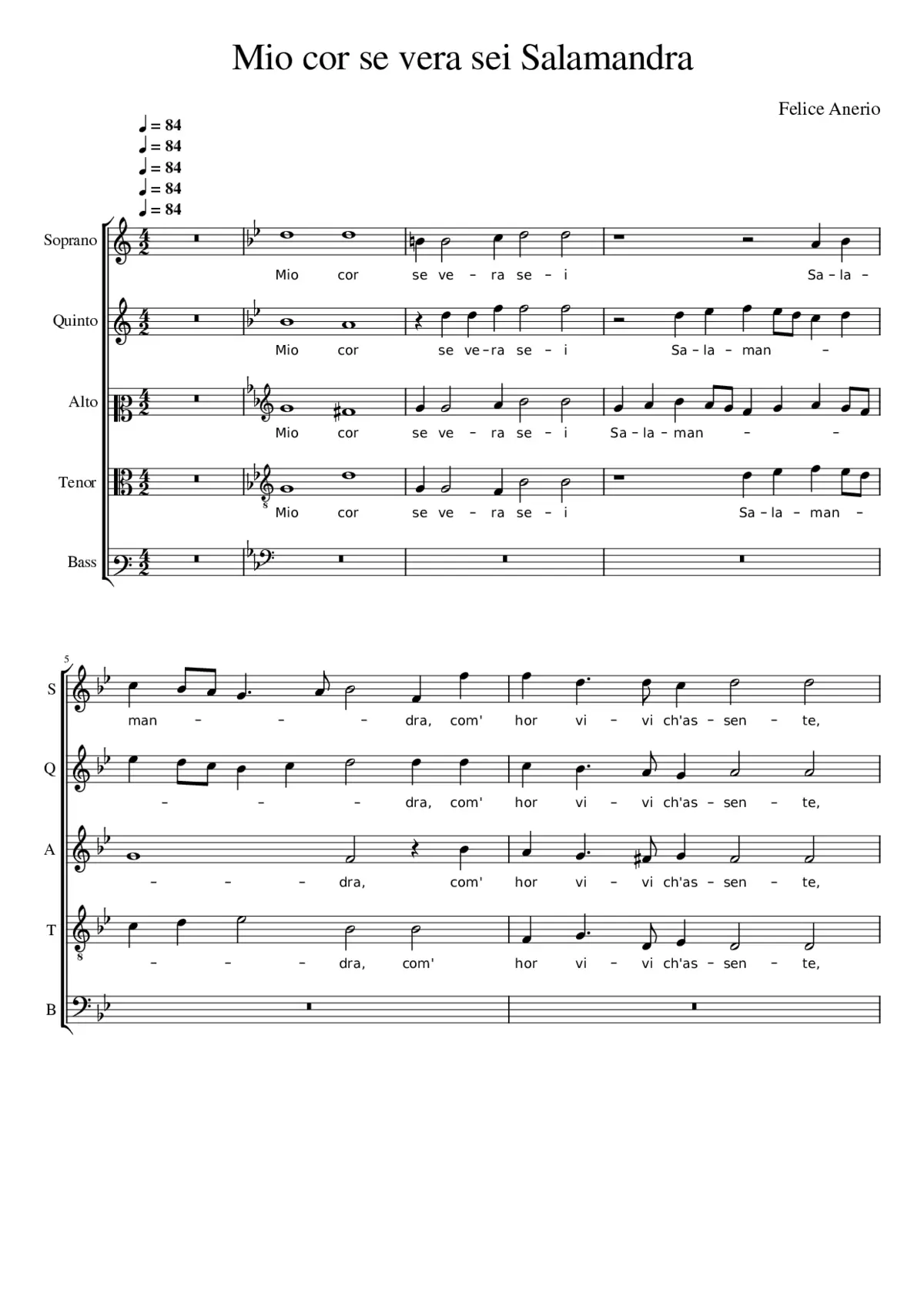 Mio cor se vera sei Salamandra - Page 1