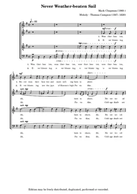 Never weather-beaten sail