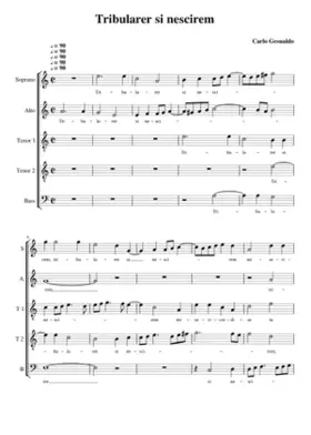 Tribularer si nescirem