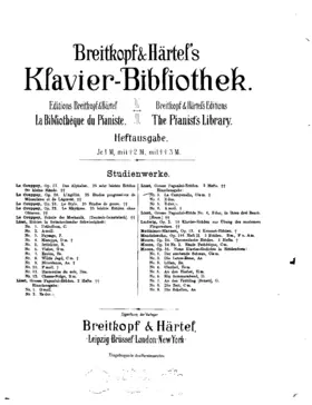 Grandes études de Paganini